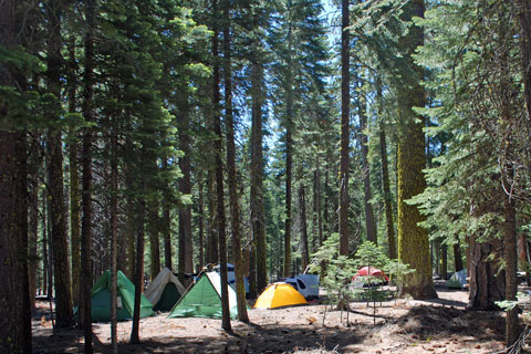 Lost Creek Group Campground, Lassen Volcanic Natiional Park