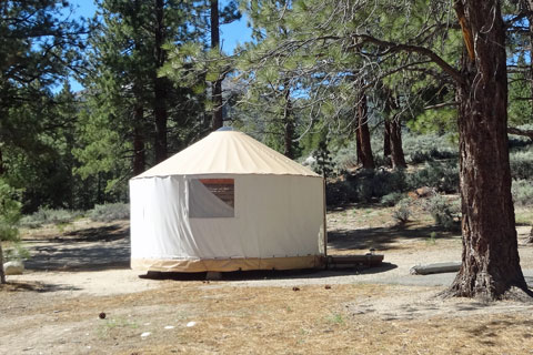 Yurt at Paha Campground near Twin Lakes, Mono County, CA