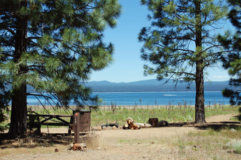 22+ Lake almanor camping with hookups Hottest