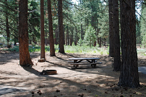 Grizzly Campground, Lake Davis, Plumas National Forest