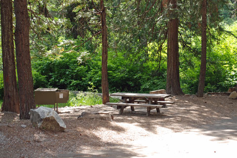 Campground at Plumas Eureka State Park