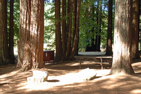 Albee Creek Campground, Humboldt Redwoods State Park, CA