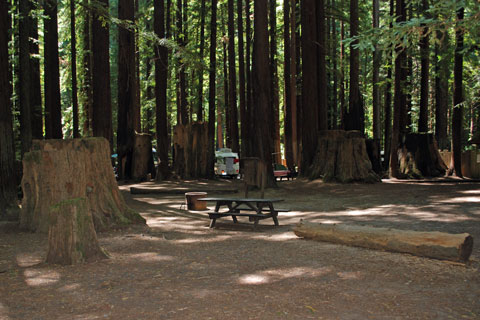 Burlington Campground, Humboldt Redwoods State Park, CA