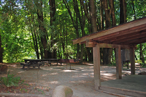 Marin Garden Club Group Campground, Humboldt Redwoods State Park, CA