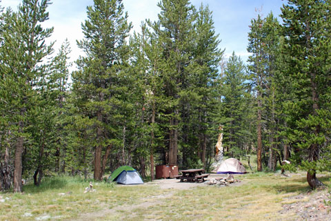 Sawmill Walk-in Campground, Inyo National Forest, CA