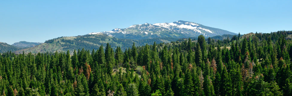 Warner Mountains, Modoc National Forest, CA