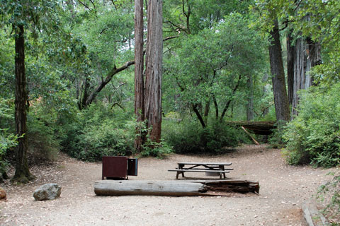 Blooms Creek Campground, Big Basin Redwoods State Park, CA
