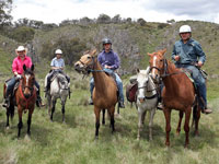 group of horseback riders