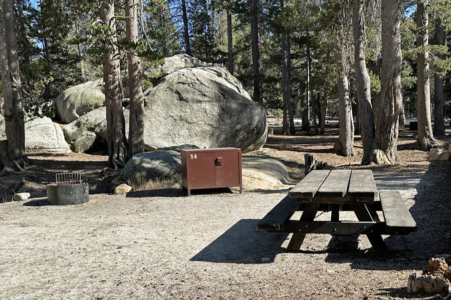 Big Meadow Campground, Sequoia National Monument