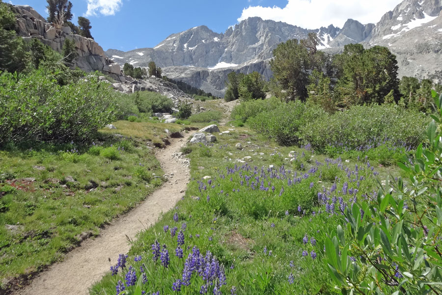 trail, Kings Canyon National Park, CA